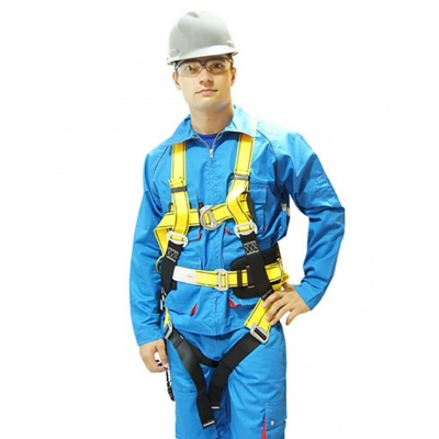  Harness 